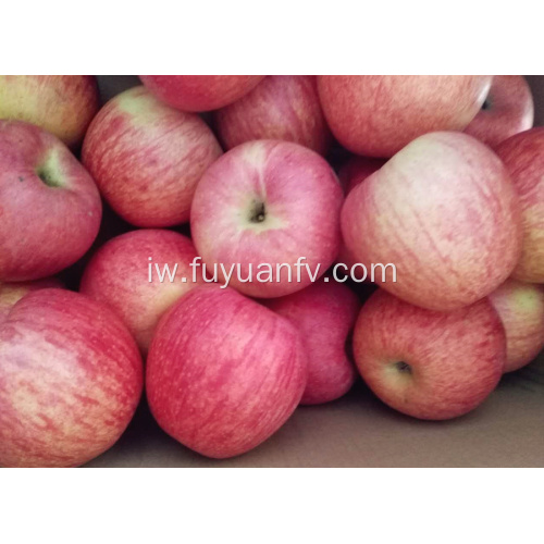 טריים Qinguan תפוח עם צבע פס